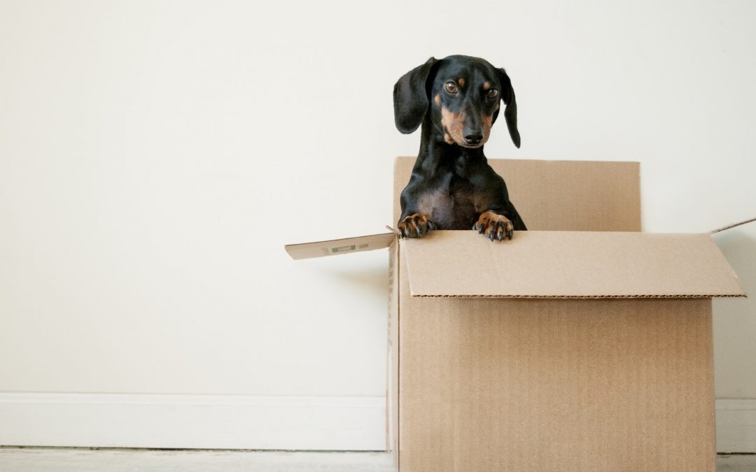 Move-Out Inspection: What Landlords & Tenants Need to Know